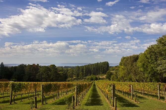 Mornington Peninsula Wine and Food Day Tour From Melbourne - Traveler Photos