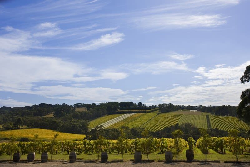 Mornington Peninsula Wine Day Tour with Transfers from Melbourne - Merricks General Store is more than a lunch break