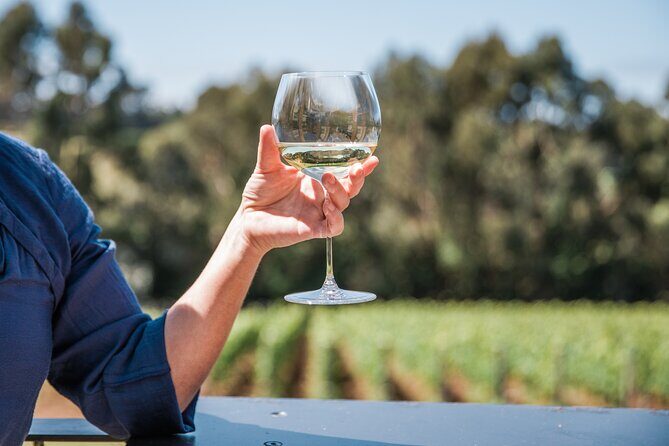 Mornington Peninsula Wine Tasting and Wellness Escape - Detailed Tour Breakdown