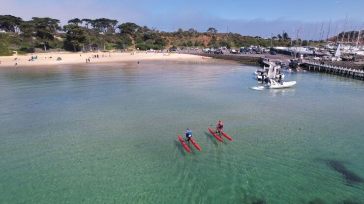 Mornington: Port Phillip Bay Water Bike Tour - Experience Highlights