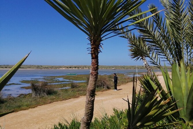 Moroccan Coastal Journeys: Marrakech to El Oualidia VIP Transfers - Frequently Asked Questions