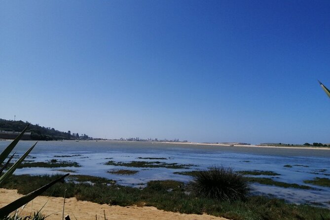 Moroccan Coastal Journeys: Marrakech to El Oualidia VIP Transfers - The Sum Up