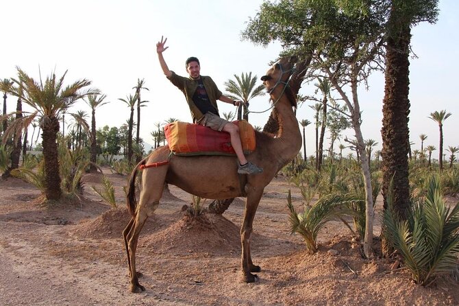 Moroccan Wine Tasting From Marrakech at Atlas Mountains & Desert and Camel Ride - Logistics and Cancellation Policy