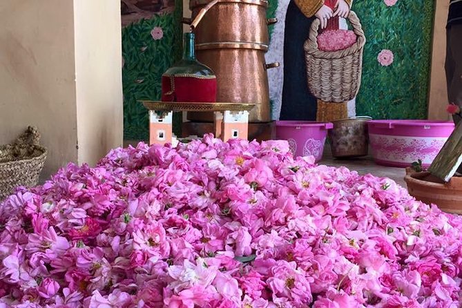 Morocco 11 Days Tour From Casablanca via Sahara Desert - Overview of the Morocco 11 Days Tour