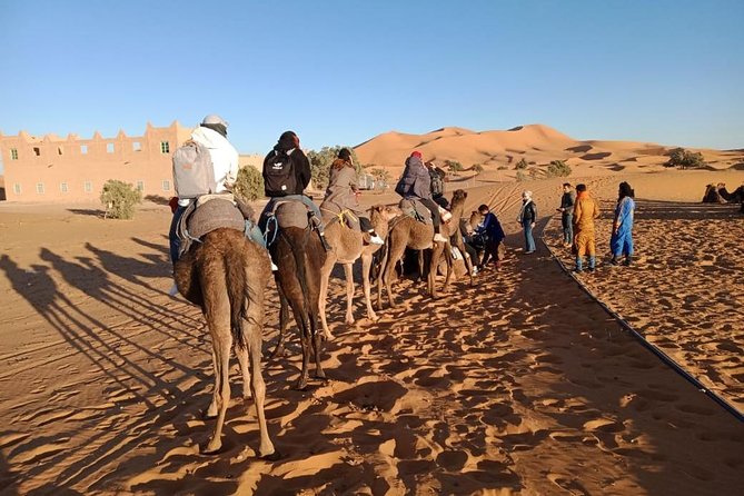 Morocco 12 Days 11 Night Desert Tour From Agadir - Expectations and Recommendations