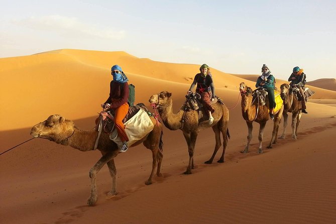 Morocco 9 Days Tour From Casablanca - Day 8 - Marrakech