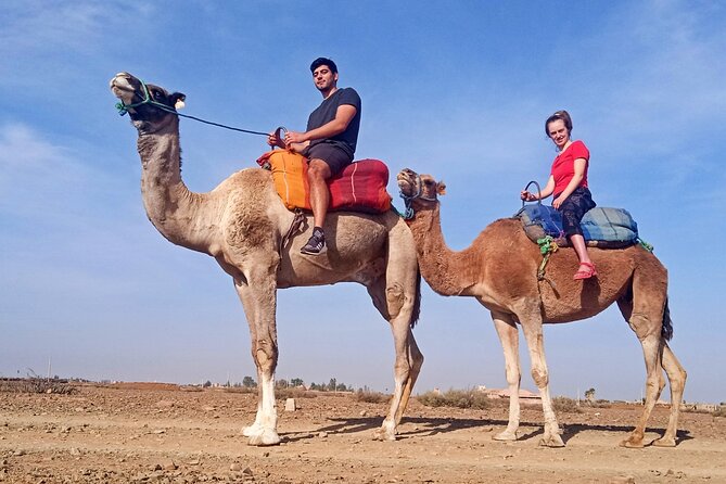 Morocco: Atlas Mountains & Three Valleys, Guided Tour From Marrakech - The Sum Up