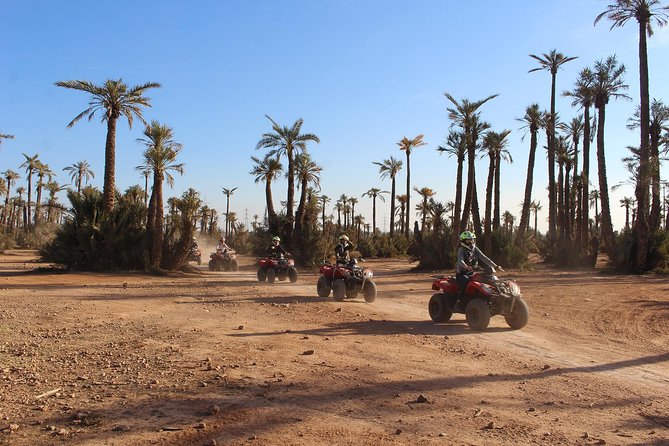 Morocco ATV and Camel Tour - Marrakech - Customer Reviews