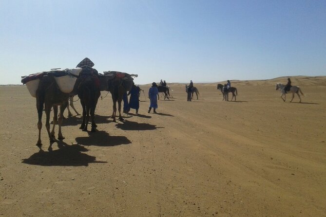 Morocco Camel Treks Experiences 2 Nghits in Erg Chabbi Desert - Experience Details