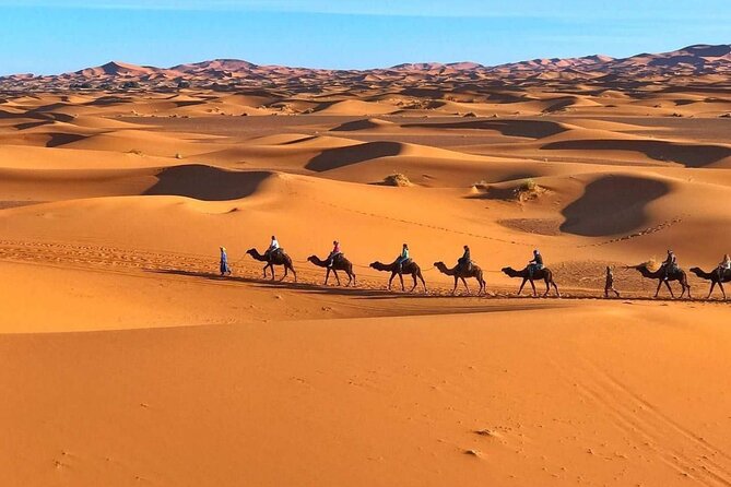 Morocco Camel Treks Experiences 2 Nghits in Erg Chabbi Desert - Meeting and Pickup Information