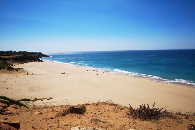 Morocco Day Tour: Tangier From Seville - Common Questions