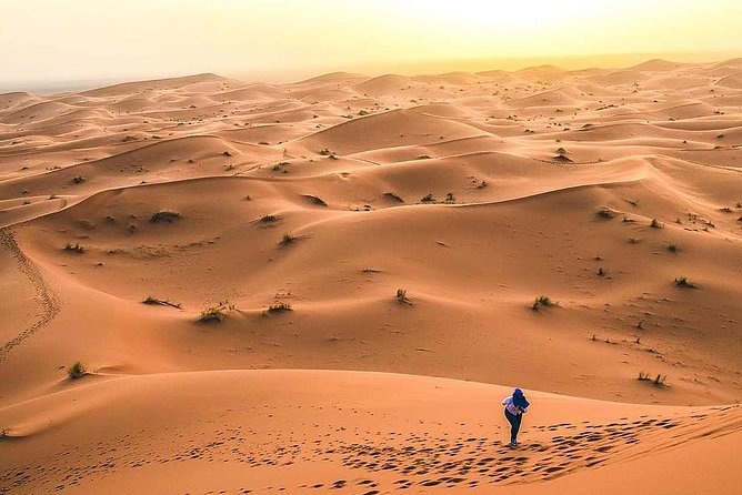 Morocco Desert Tour From Marrakech to Fes 4 Days Groupe - The Sum Up