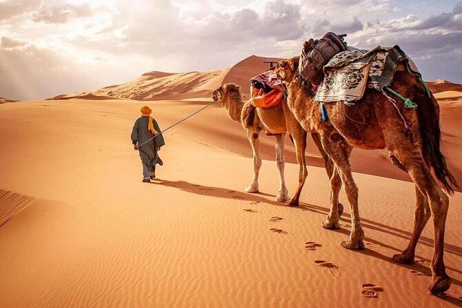 Morocco Desert Tour Private 4-Days From Marrakech to Merzouga - Tour Pricing and Booking Details