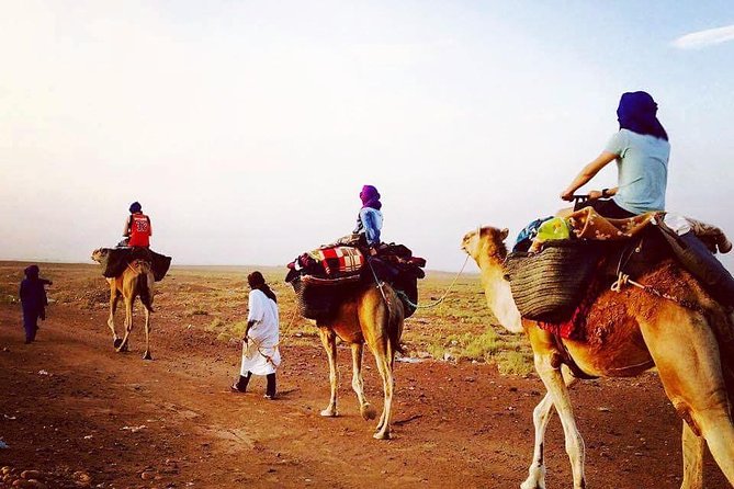Morocco Desert Trek Dromedary Mhamid Dunes - Desert Trek Overview