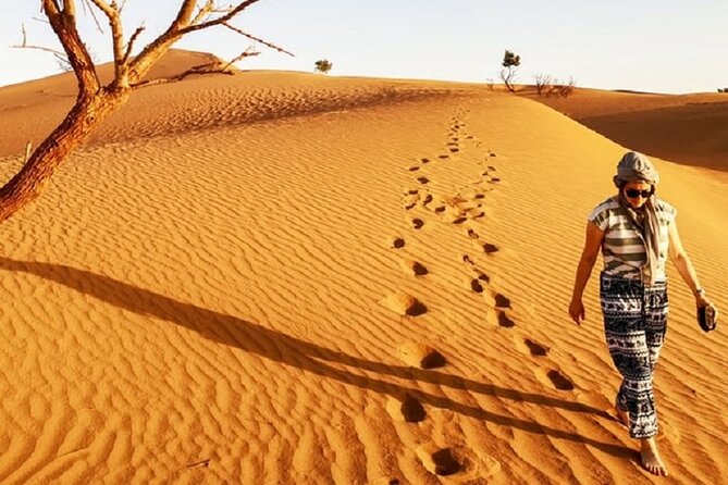 Morocco Desert Trek Dromedary Mhamid Dunes - Dromedary Riding Experience