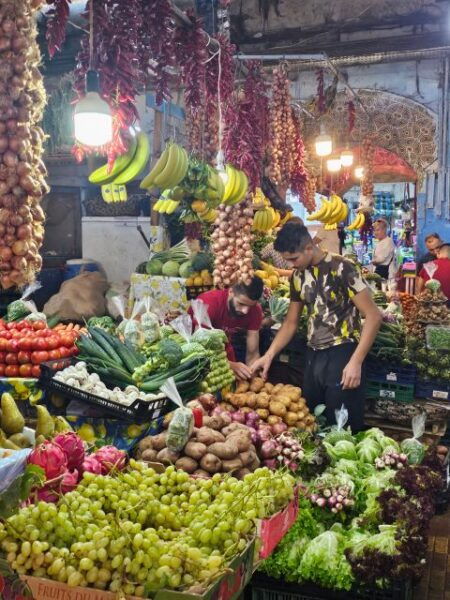 Morocco Express: Private Tour to Tangier From Seville - Booking and Contact Information