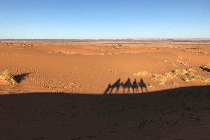 Morocco: Full Country Trip 8 Days 7 Nights (Private Tour + 24h Customer Service) - What To Expect During the Trip