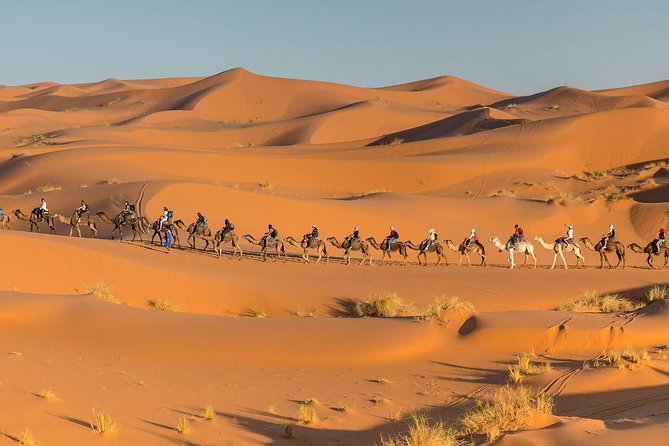 Morocco Private 3-Day Desert Tour From Marrakech to Fes - Reviews