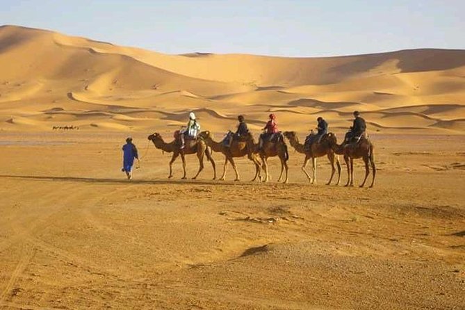 Morocco Round Trip 5 Days With Jeep and Camel - Accommodation Highlights