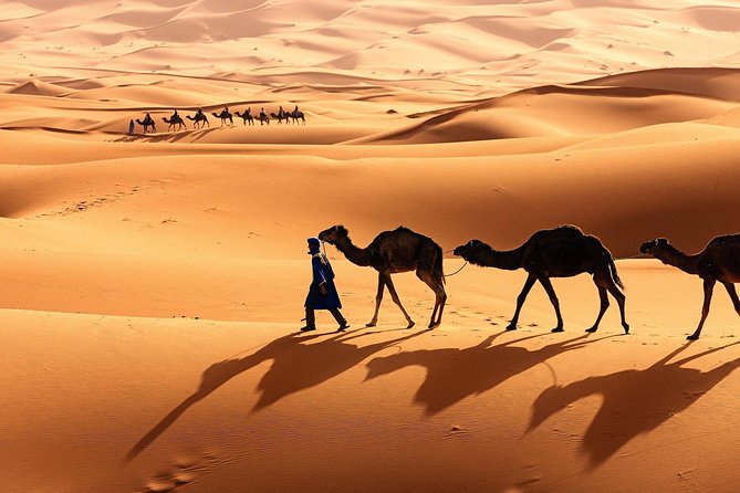 Morocco Shared Desert Tour 3 Days - Itinerary Overview