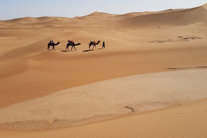 Morocco Tours From Marrakesh 4 Days Desert Tour to Erg Chegaga Dunes - Tour Itinerary Highlights