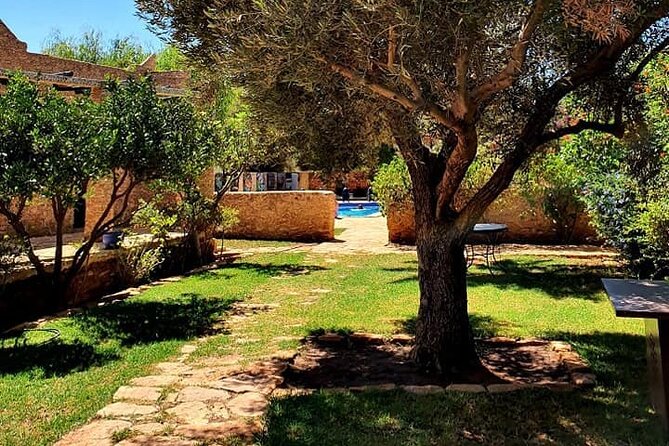 Morocco Vineyard Visit and Gourmet Tours - Vineyard Visit Experience