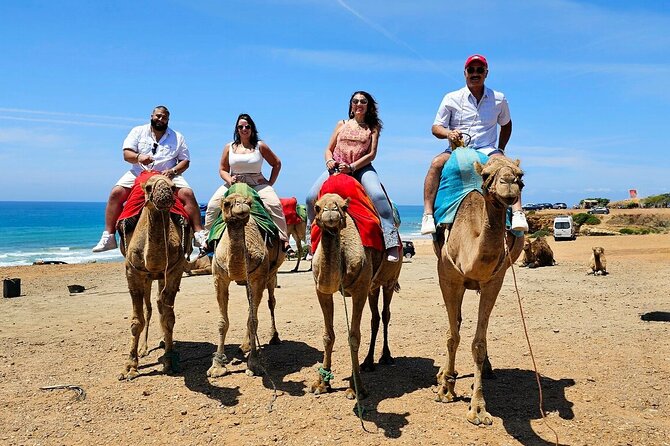 Morocco:Tangier Private Tour From Malaga Province or Tarifa - Meeting and Pickup Details