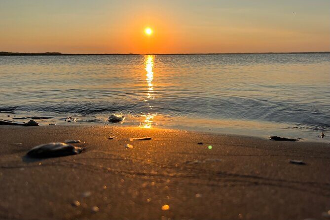 Morris Island Dolphin Cruise and Shelling Trip - Final Thoughts