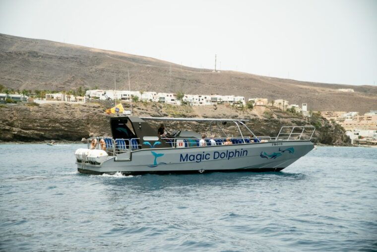 Morro Jable: Dolphin & Whale Watching Cruise, Drinks & Swim - Whats Included