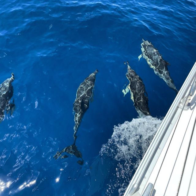 Morro Jable: Sailing Boat Excursion With Food and Drinks - Experience Highlights