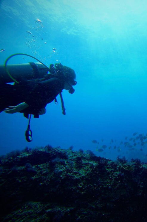 Morros De Potosi: Dive Into the Mysteries of the Night - Exploring the Dive Site
