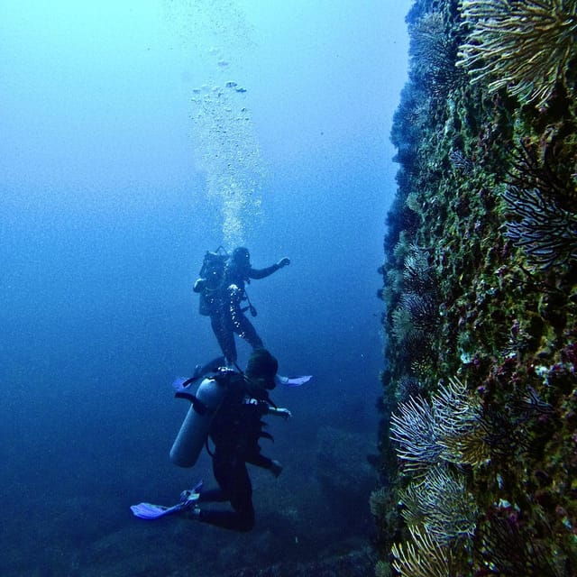 Morros De Potosi: Dive Into the Mysteries of the Night - Refreshments and Amenities