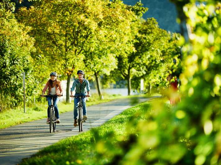 Mosel: Bike and Boat Tour With Picnic and Wine Tasting - Key Points