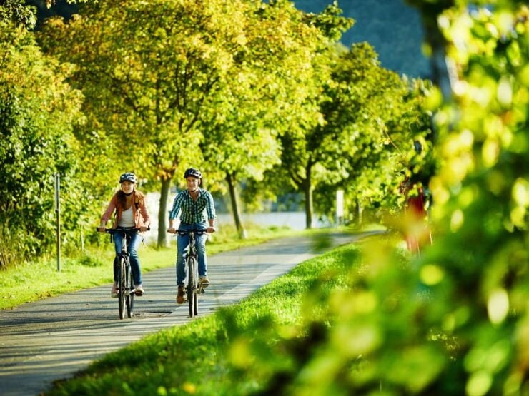 Mosel: Bike and Boat Tour With Picnic and Wine Tasting - Wine Tasting Details
