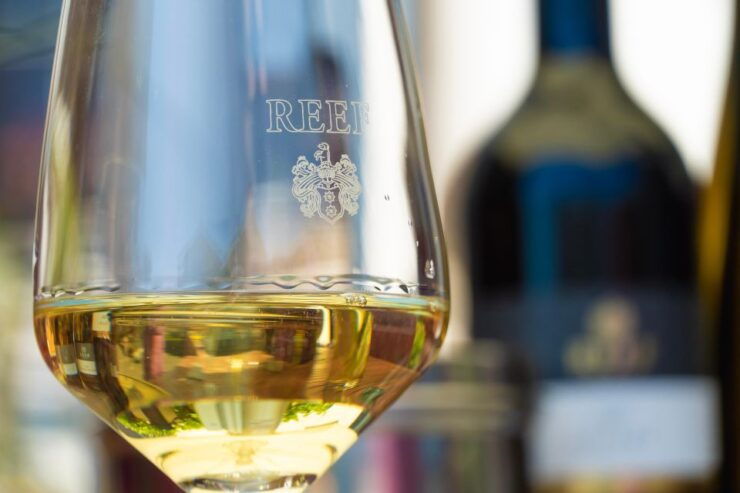 Mosel: Guided Wine Tasting Directly at the Winery - Experience Highlights