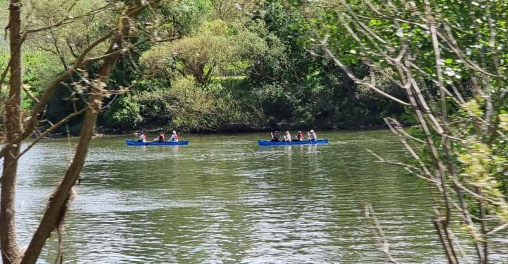 Moselle Canoe Tour Traben-Trarbach to Zell 18km/4-8 Hours - Route and Distance