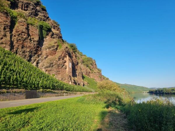 Moselle Canoe Tour Traben-Trarbach to Zell 18km/4-8 Hours - Pricing and Cancellation Policy