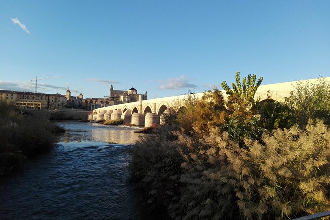 Mosque, Alcazar and Juderia Ticket Included Skip the Line - Benefits of Booking Online