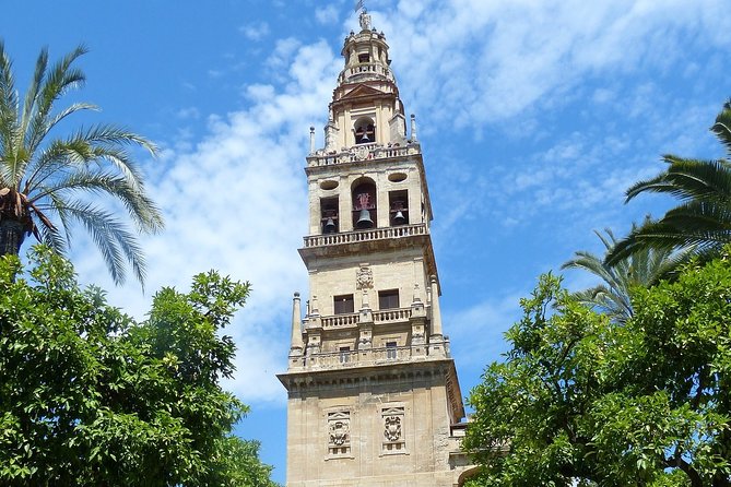 Mosque-Cathedral Cordoba Guided Tour With Priority Access - Reviews