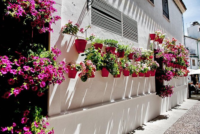 Mosque of Cordoba, Jewish Quarter & Synagogue Tour From Seville - Pickup and Logistics