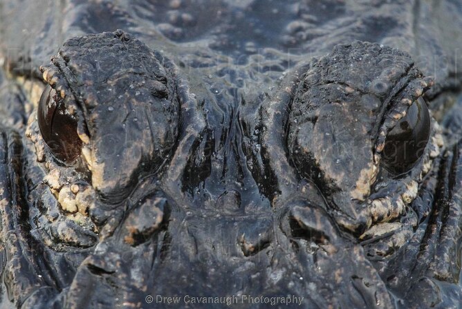 Mosquito Lagoon Sight Fishing Charters Near Orlando Florida - Charter Details