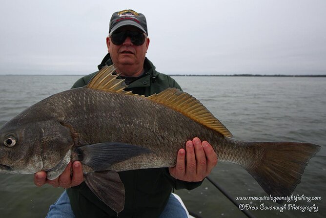 Mosquito Lagoon Sight Fishing Charters Near Orlando Florida - The Sum Up