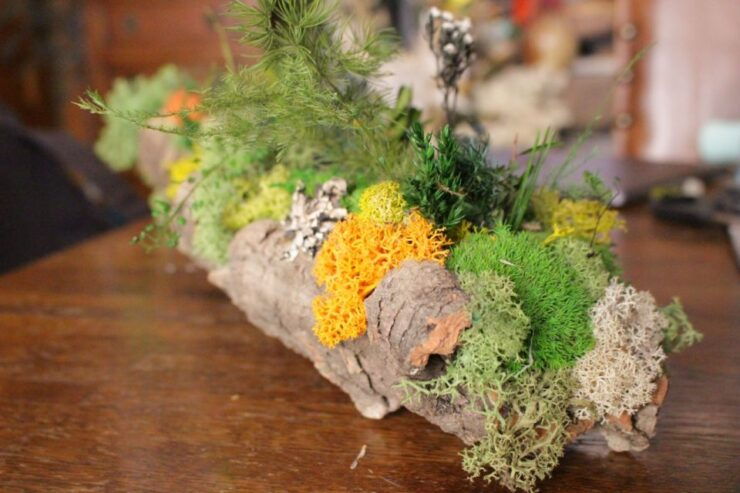 Moss and Foliage Arrangement Workshop - Instructor Insights