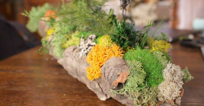 Moss and Foliage Arrangement Workshop - Experience Highlights