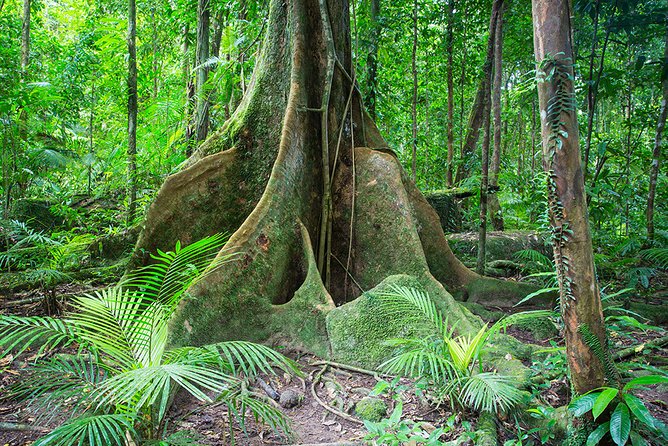Mossman Gorge Adventure Day - Cancellation Policy