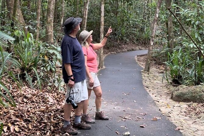 Mossman Gorge Daintree Experience Small Groups - A Well-Organized Itinerary for Nature and Culture