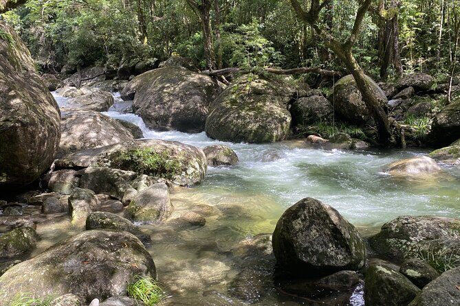 Mossman Gorge Daintree Experience Small Groups - Who Is This Tour Best Suited For?