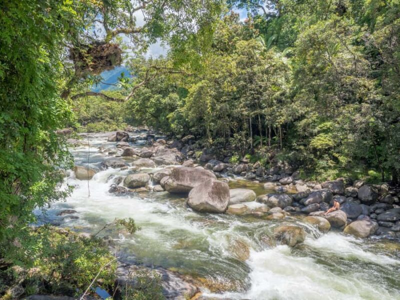 Mossman Gorge: Day Tour with River Drift Experience - Good To Know