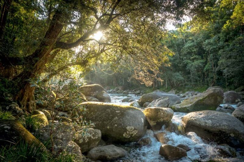 Mossman Gorge: Day Tour with River Drift Experience - The Heart of the Tour: Mossman Gorge & River Drift