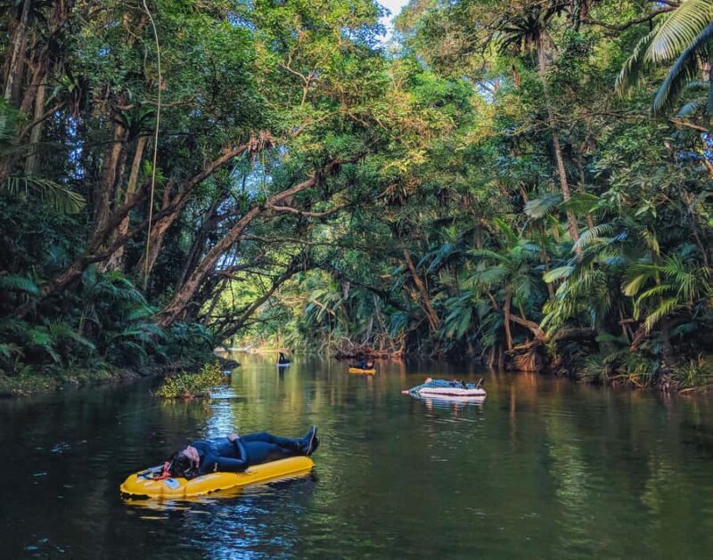 Mossman Gorge: Day Tour with River Drift Experience - Why Choose This Tour?